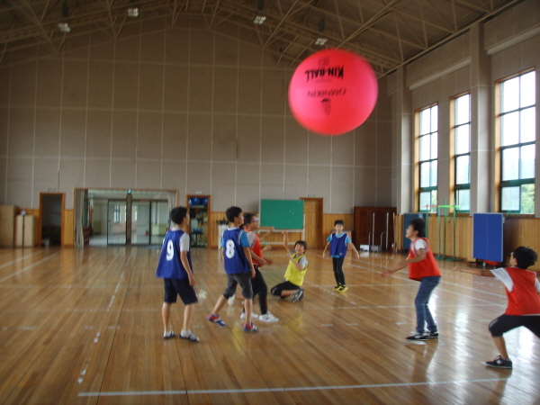 킨볼 경기가 한창인 초등학교 체육수업 풍경