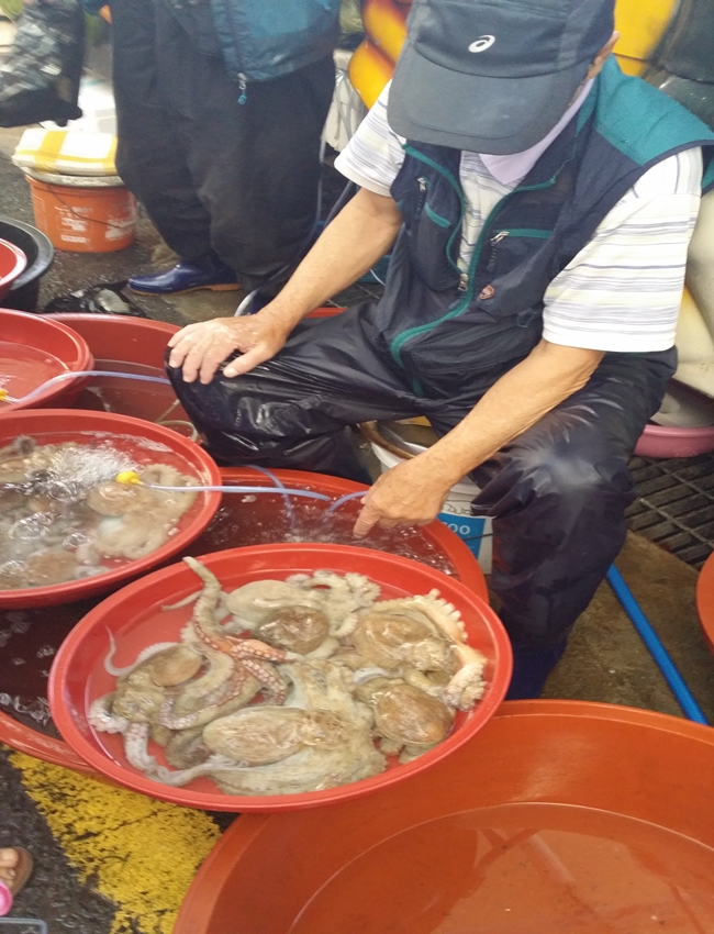 문어 중간크기 한 마리에 1만원입니다.