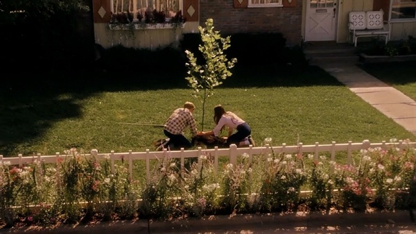  영화에서 큰 역할을 하는 '플라타너스', 이 나무를 함께 심는 아이들. 