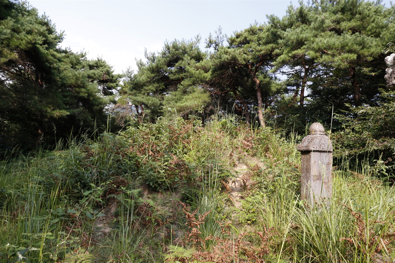 지지당 송흠의 묘와 묘비. 주변에 잡초가 우거져 있다.