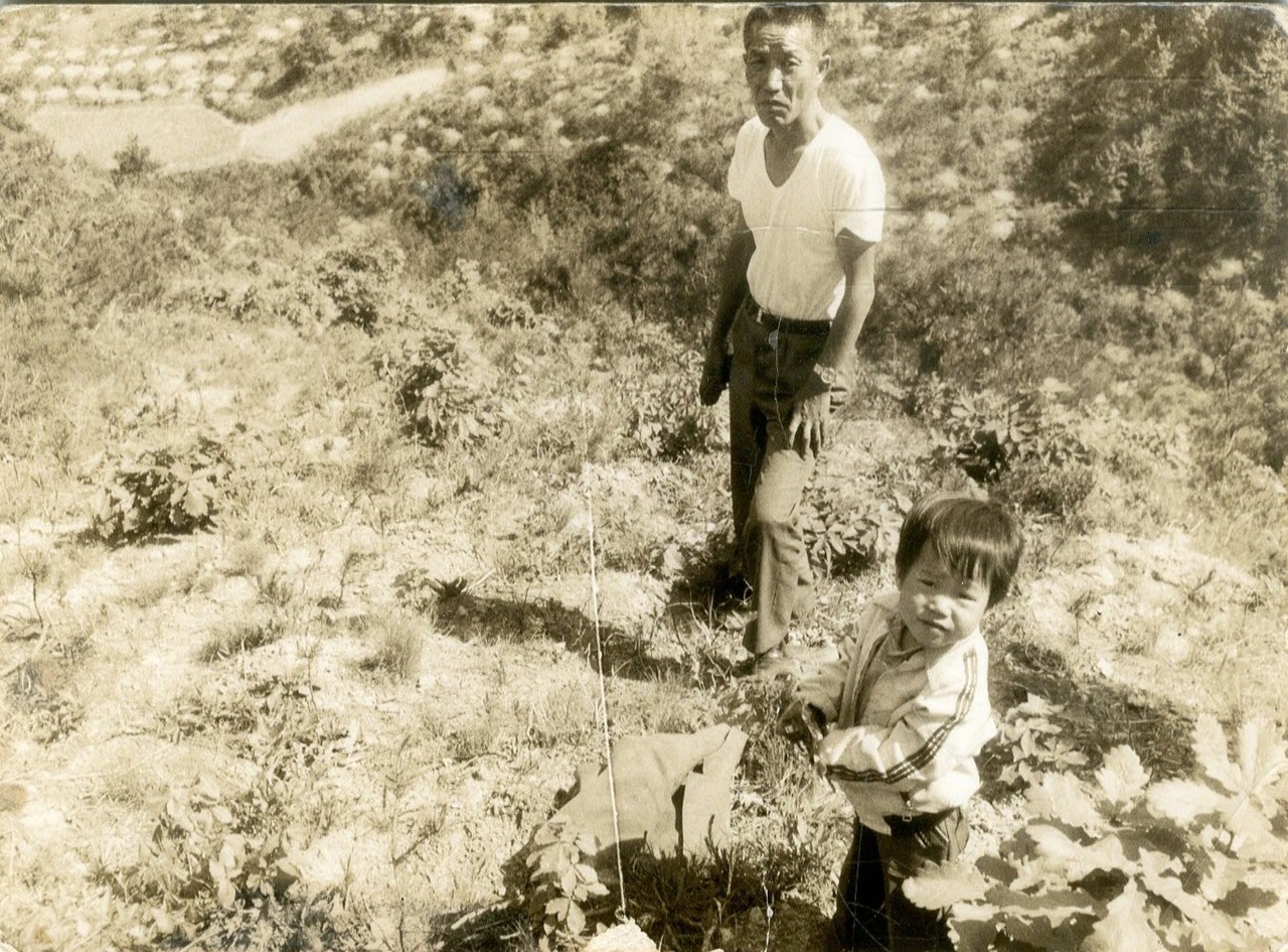 천안 요산재 시절의 임종국 선생. 생계와 연구를 함께 하기 위해 밤나무를 심었으나 밤농사는 살림에 큰 보탬이 되지 못했다. 