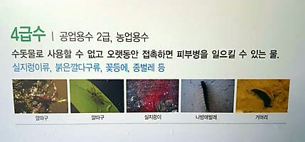 환경부 수생태 오염지표종 자료