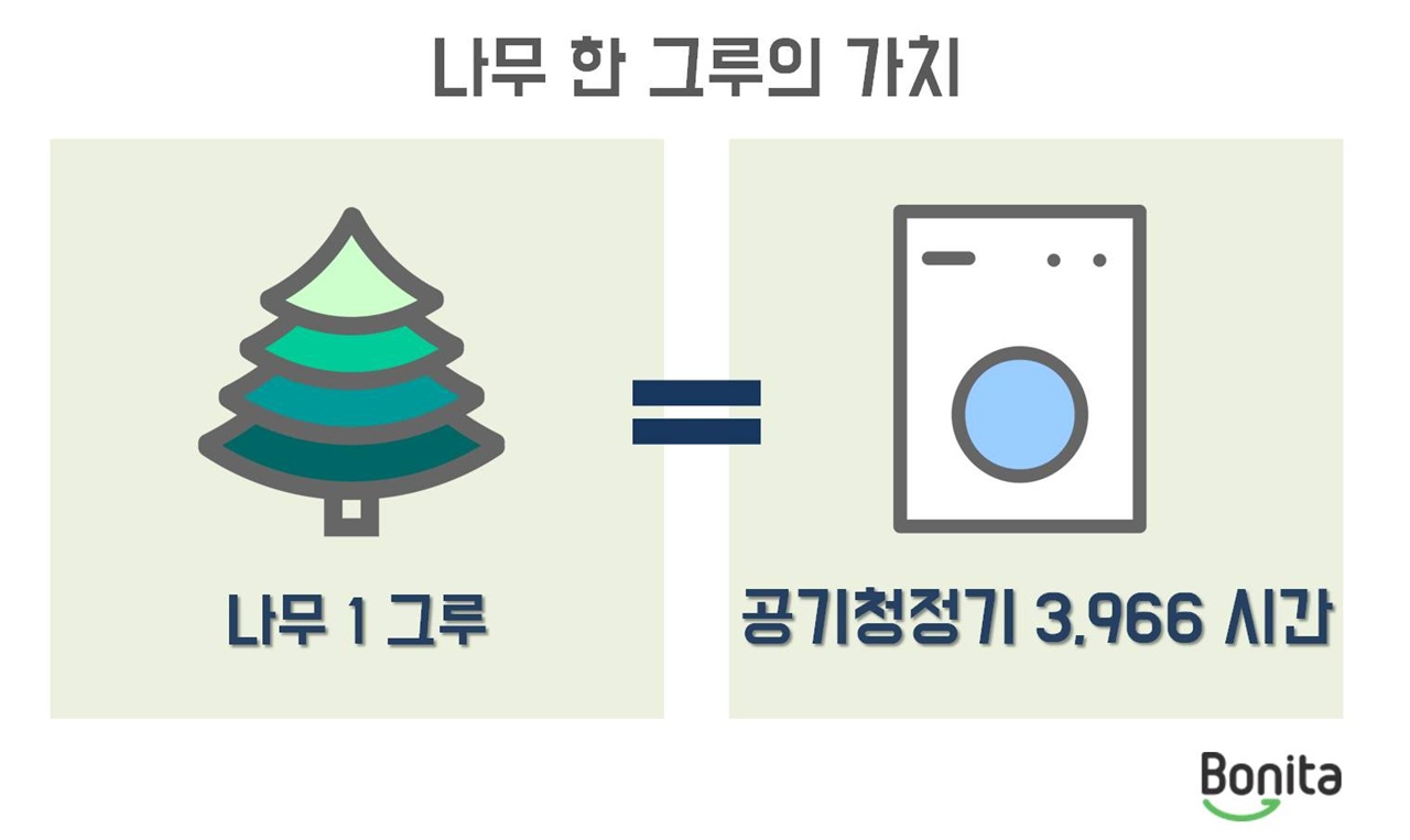 나무 한 그루의 가치 