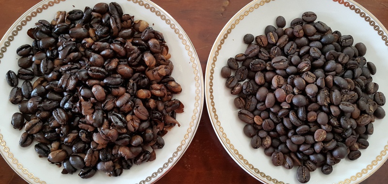왼쪽 사진이 일반 로부스타 원두를 로스팅 기에 넣고 12분 로스팅 한 것입니다. 오른쪽은 커피 루왁 원두를 같은 조건으로 로스팅 한 것입니다