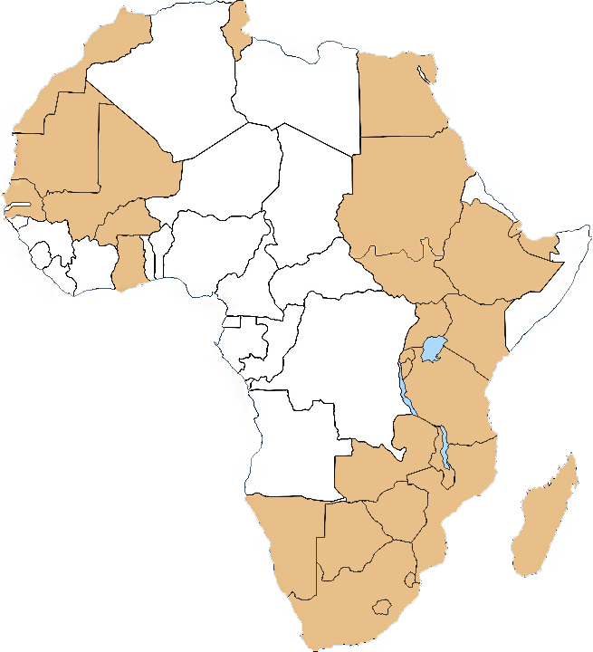 권 대표가 3년에 걸쳐 다닌 아프리카 나라 28개국 (색칠한 부분) 