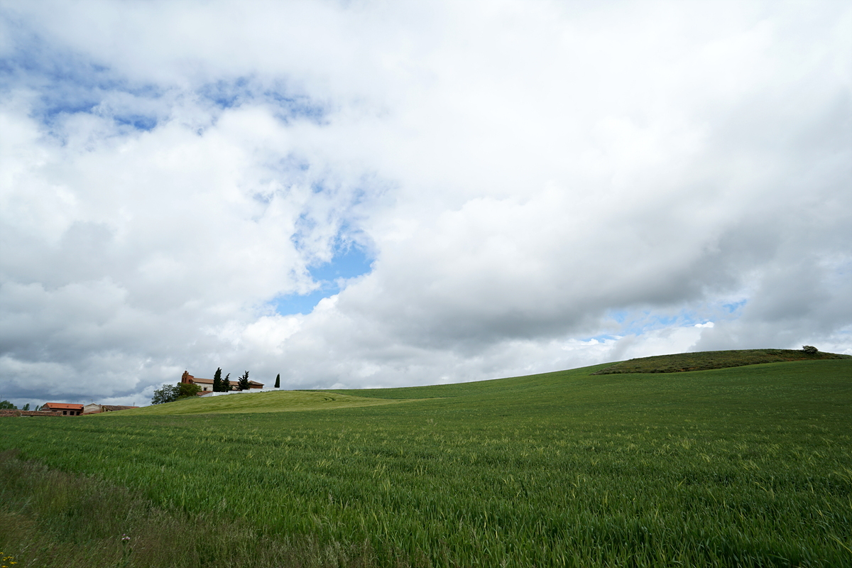  언덕 위의 성당과 밀밭