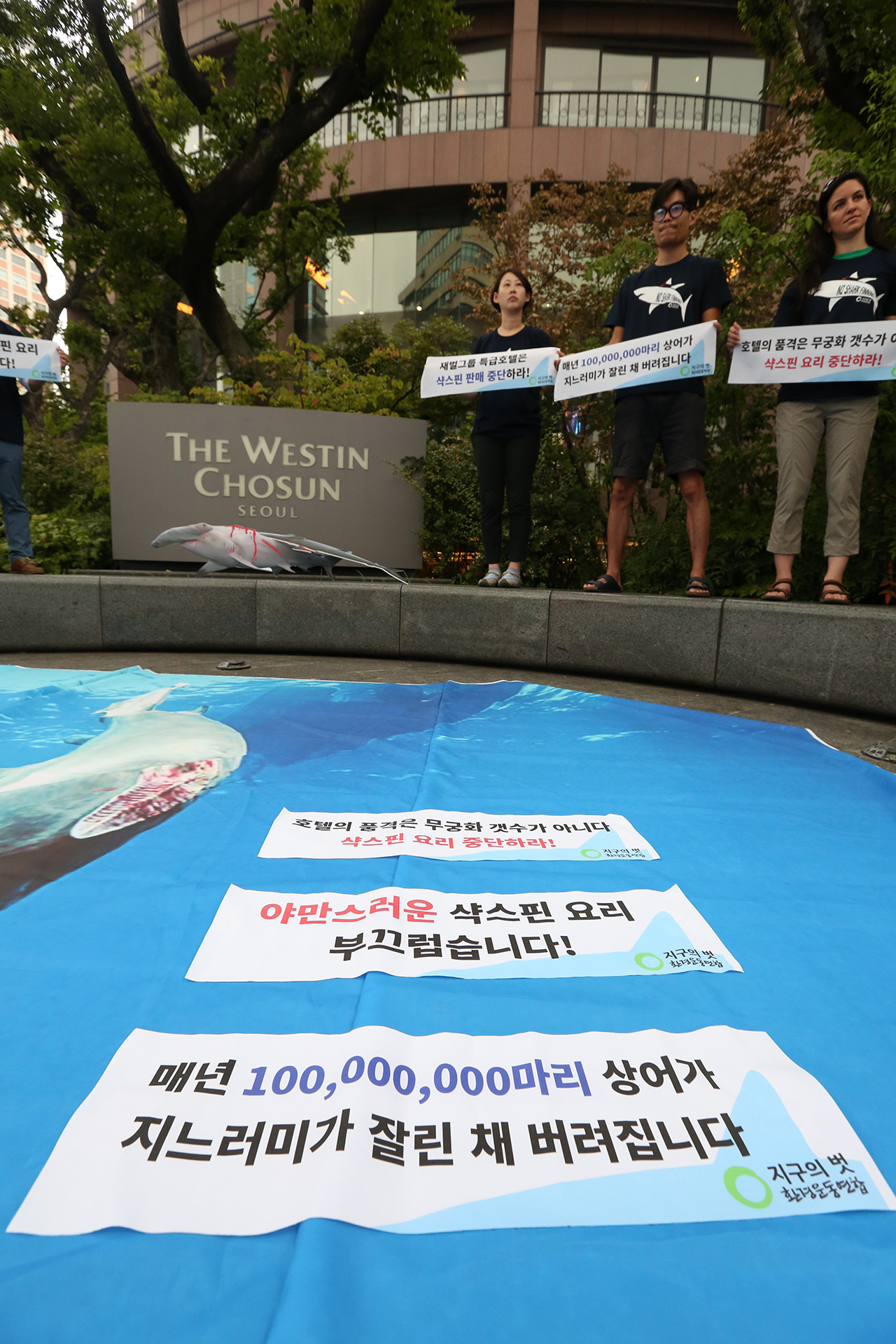  환경운동연합 회원들이 8일 서울 중구 웨스턴 조선호텔 앞에서 상어지느러미 요리 중단 촉구 캠페인을 펼치며 샥스핀 요리 반대 피켓을 들고 있다.