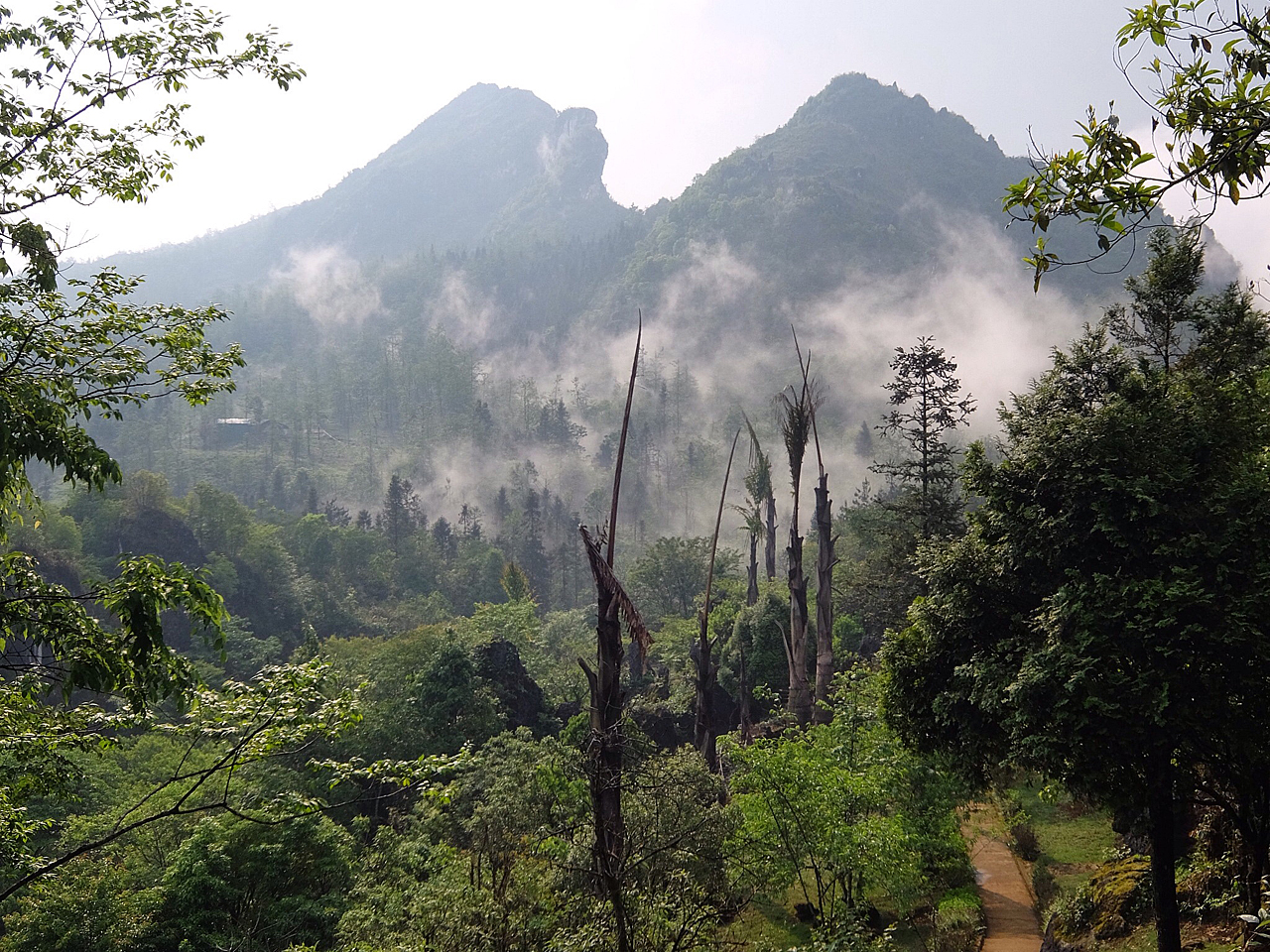  베트남 사파 함롱산 풍경.