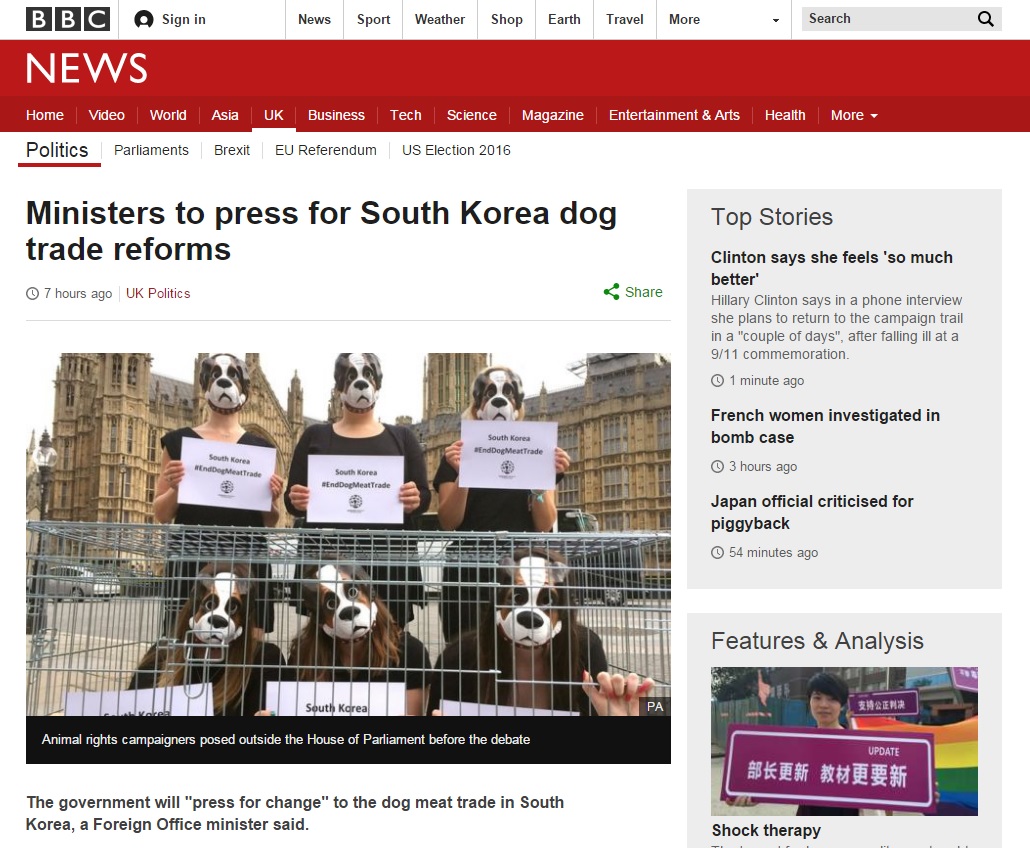 영국 BBC에 올라온 개고기 청원 관련 기사.