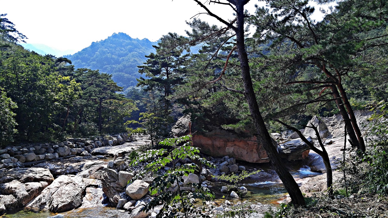 이 바위 덕분에 주전골 초입은 오래전 고래골이라 불렸으나 근래 오색약수터에서 용소폭포를 이르는 전구간을 주전골로 부르고 있다. 망경대에서 약수터로 내려오는 길에서 계곡을 만나는 지점에 있다.