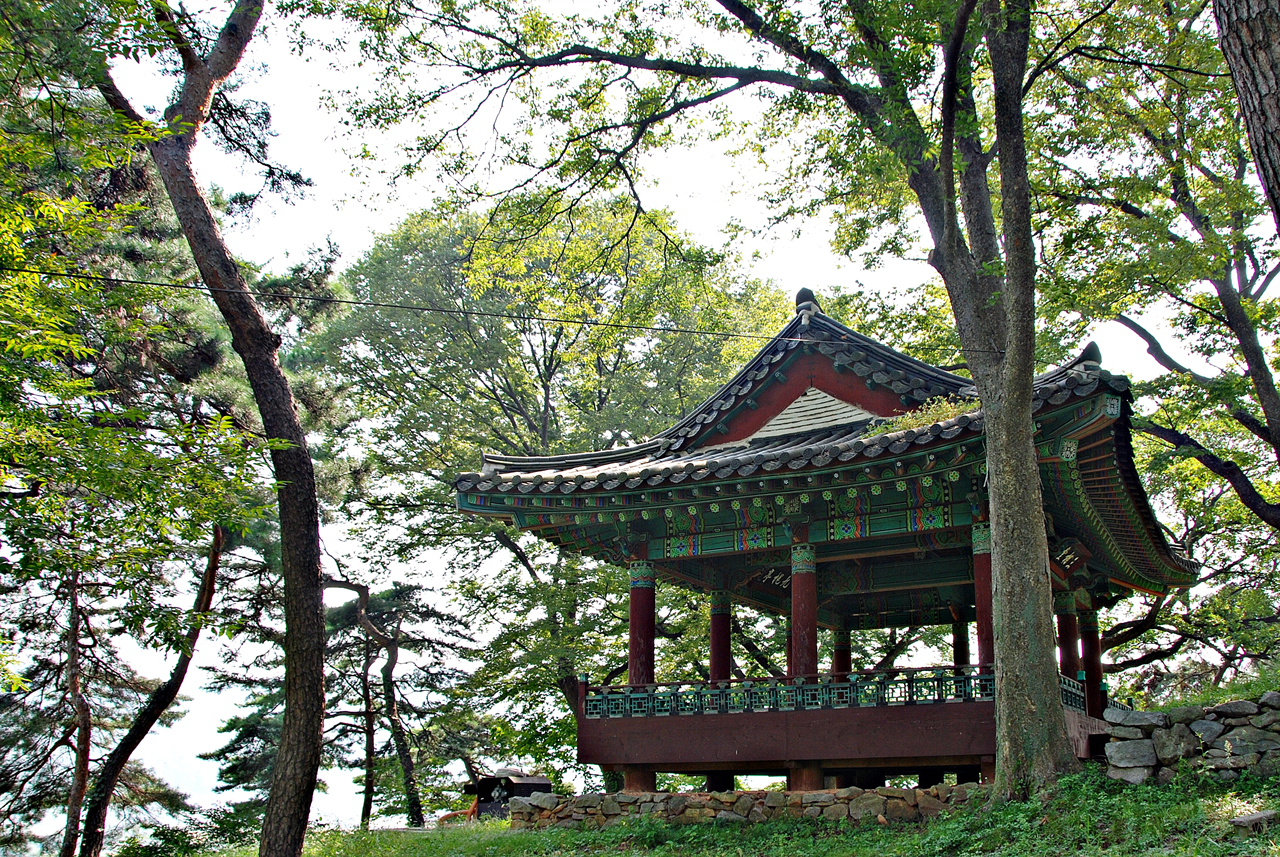 멀리서 본 구괴정 멀리서 본 구괴정