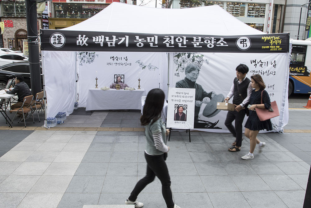 29일 천안시 중심가인 동남구 신부동 종합터미널 앞에 고 백남기 농민을 추모하는 분향소가 마련됐다. 