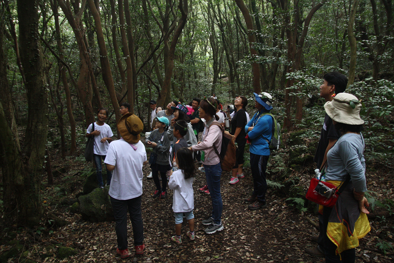 꼬마해설사와 함께 하는 동백동산 탐방. 동백동산은 남한 최대의 난대성상록수림지대이기도 하다.