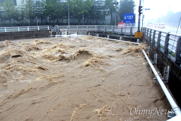 5일 태풍 '차바'의 영향으로 많은 폭우가 내리는 가운데, 이날 오전 창원 토월천이 범람할 정도로 많은 물이 흘러 내리고 있다.