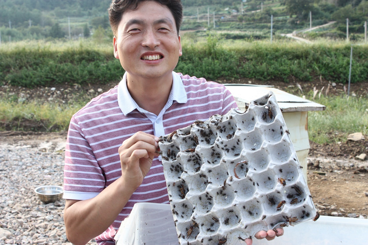 16년 베테랑 간호사였던 서정철씨가 돌산에서 사육중인 귀뚜라미를 들어 보이고 있다.