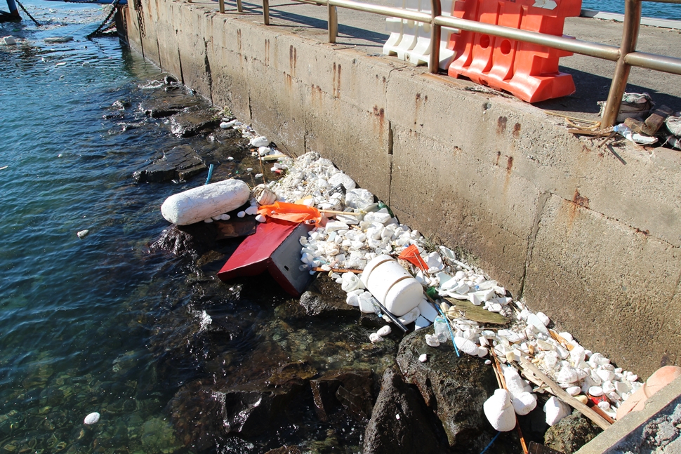 오동도 바다 가장자리에는 생활쓰레기로 뒤덮여있다.
