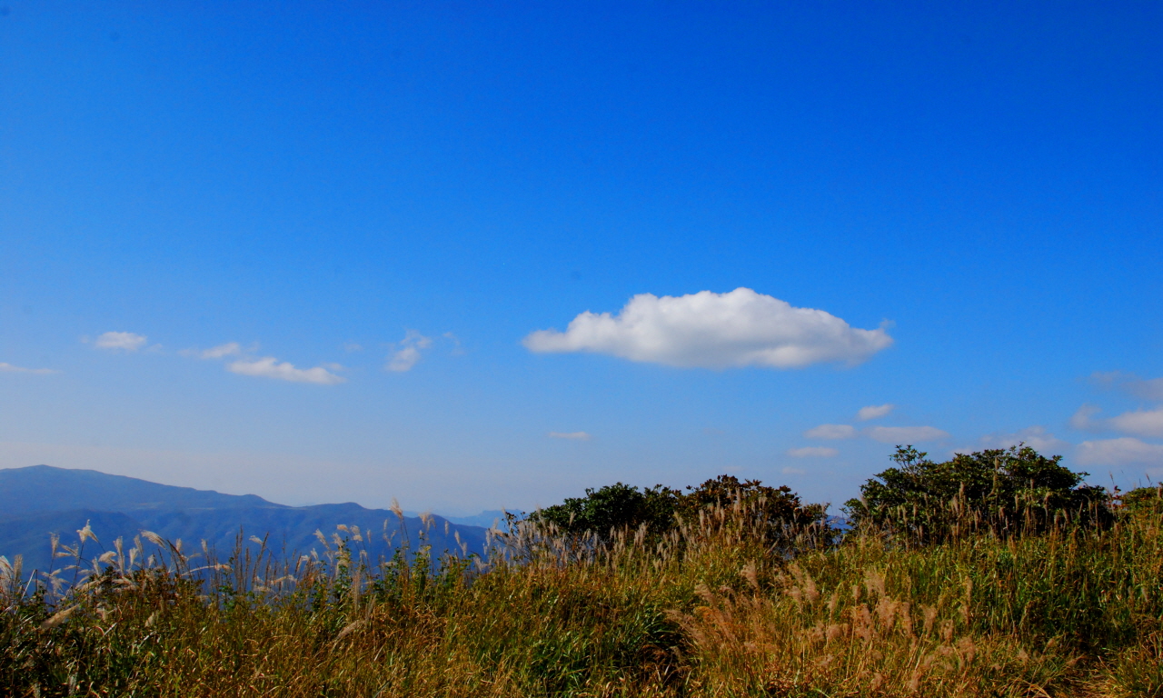  신불산 풍경2