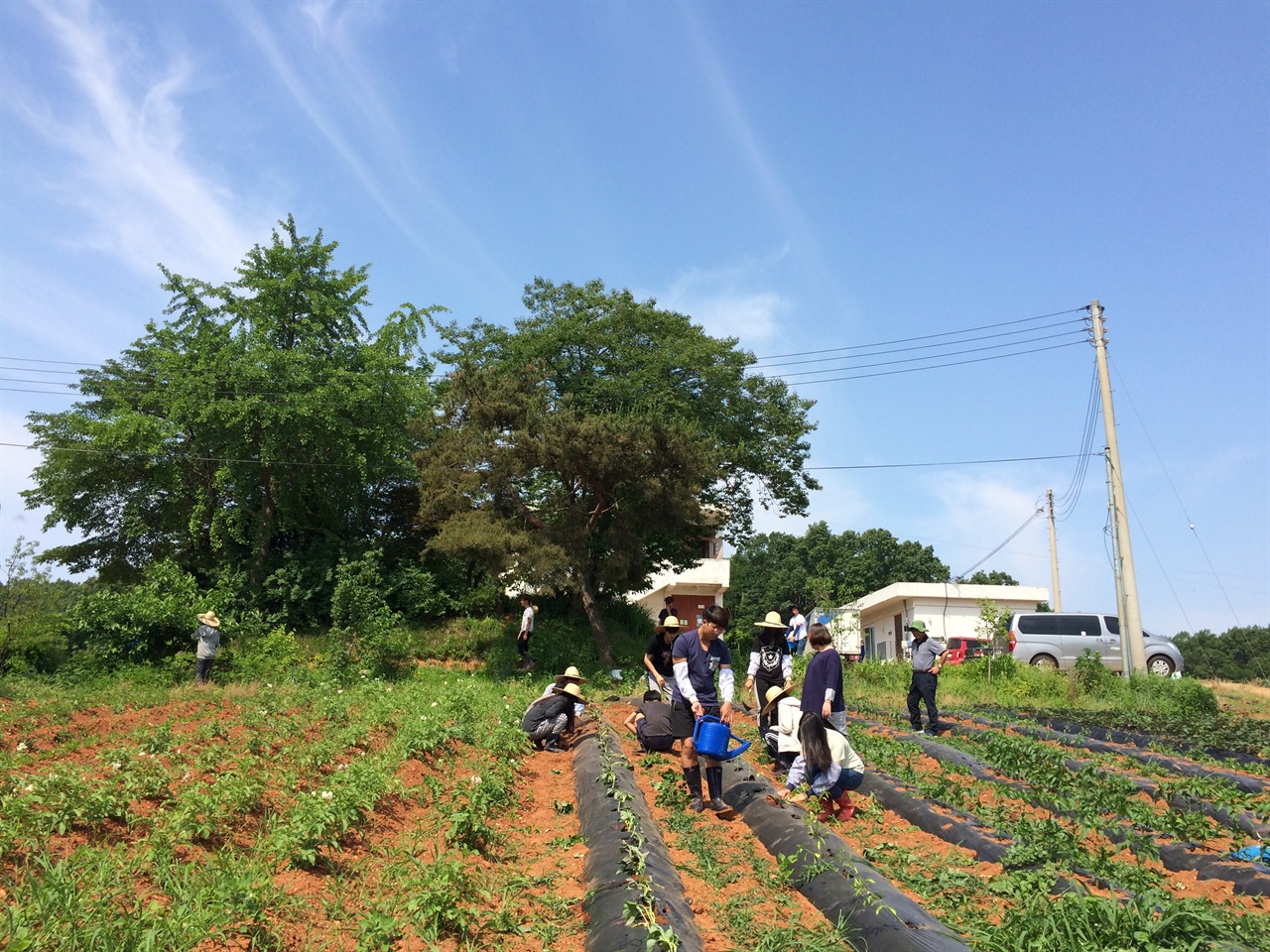농사농사 수업 시간을 이용해 밭에 여러 가지 작물을 심고 있는 꿈틀리인생학교 학생들