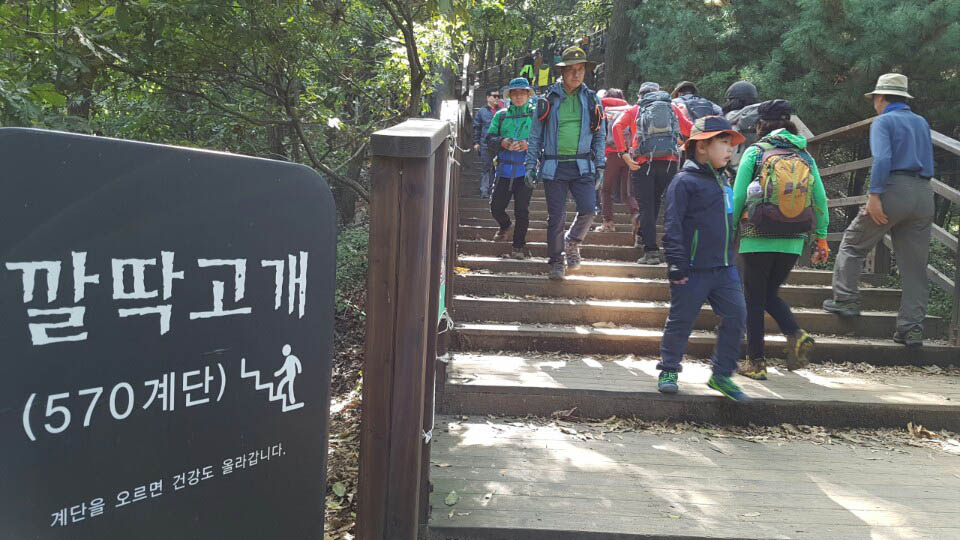  용마산 깔딱고개. 570개의 나무 계단을 오르려니 숨이 깔딱깔딱한다고 깔딱고개인것 같은데, 실제로 그리 힘들지는 않다. 다 오르면 '당신의 수명은 35분 늘었으며 90kcal를 소모하셨습니다'라는 반가운 표지판이 서 있다.