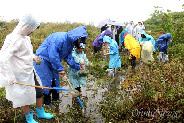 16일 오후 창녕 도천면 송진리 낙동강에서 열린 '생물다양성 증진을 위한 낙동강 생물시민대탐사' 행사에서 참석자들이 수서생물을 채집하고 있다.