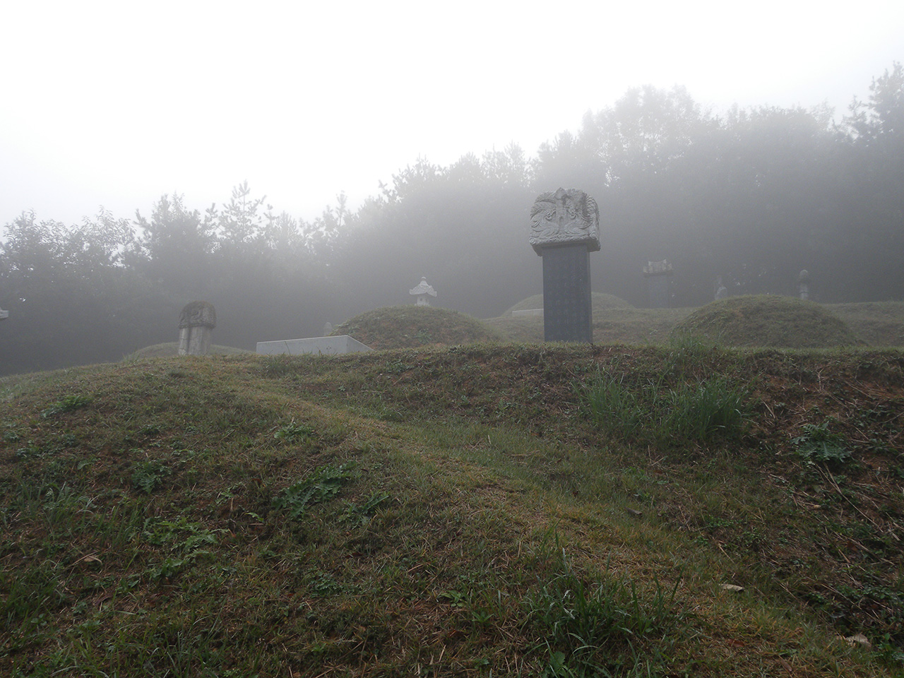 하노리 산 4-1의 무덤군. 