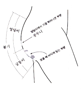 엉덩이와 궁둥이를 합하면 볼기가 됩니다. -<우리말 절대 지식>
 398쪽-