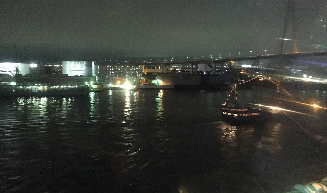덴포잔 대관람차에서 내려다본 오사카항의 야경