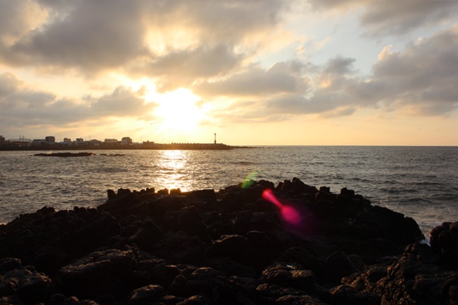  제주도 한림 해운사 앞 풍경이 불타고 있습니다. 아무래도, 부처님을 향한 열정으로 보입니다. 수행이란...