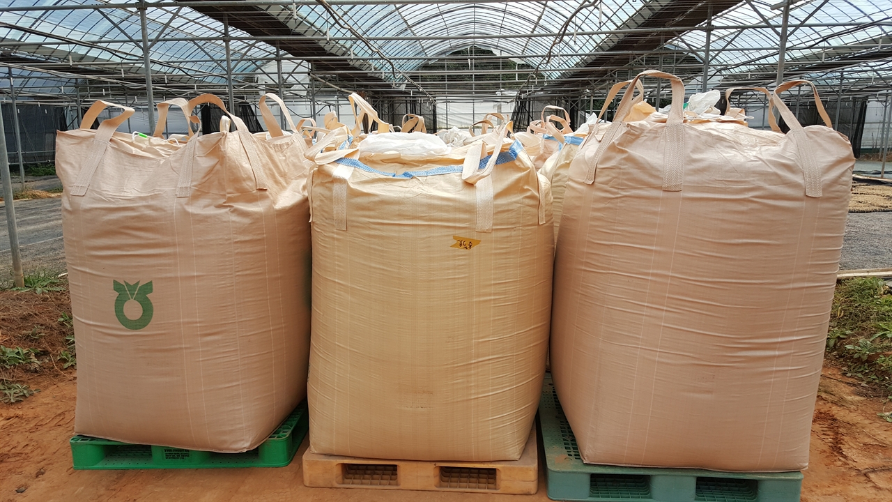 충남지역 농협RPC(미곡종합처리장)에서 산물벼를 수매하고 있다.