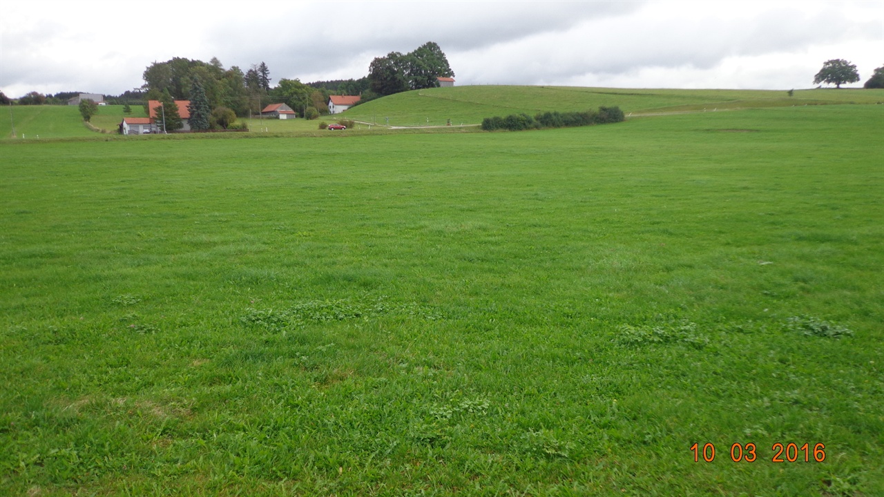농가당 평균 50~60ha의 농지를 경작하는 독일 농촌의 전형적인 목가적 풍광  