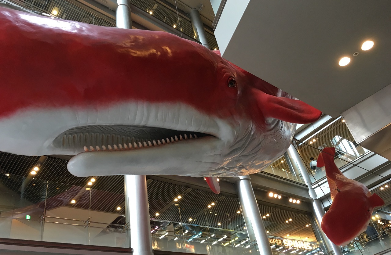 우메다역 근처 헵파이브 쇼핑몰 천장에 매달린 거대 고래 조형물