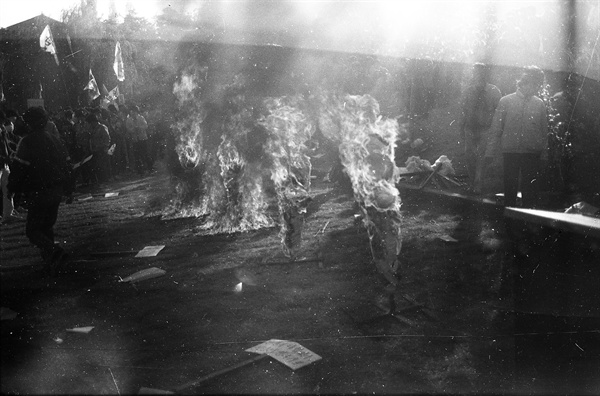 애학투련 결성식 행사 중에는 이른 바 '독재 군부정권 화형식'도 있었다. 헝겊으로 감싼 작은 허수아비에 전두환 등의 이름을 적어 넣고 불태우는 행사였다. 
