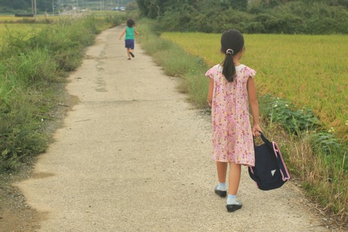  가을들. 누런 빛물결로 바뀝니다.