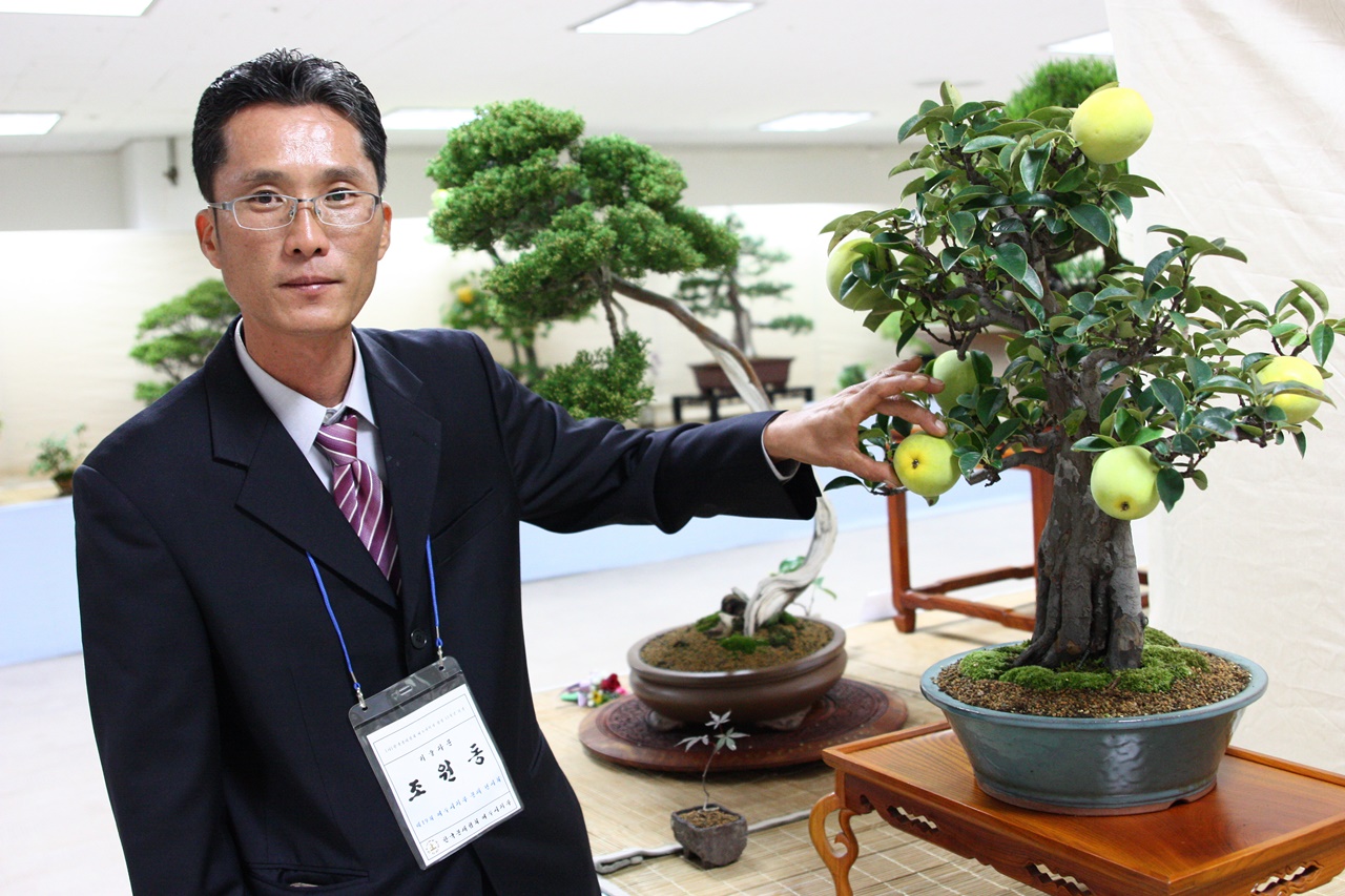 한국분재협회 기술자문 조원동씨가 모과나무를 가리키며 일본에서 5대째 이어져 내려온 분재 이야기를 설명하고 있다.