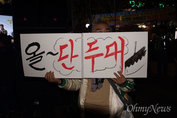 대구 2.28기념공원에서 열린 박근혜 퇴진 시국집회에 참석한 한 시민이 피켓을 들고 있다.