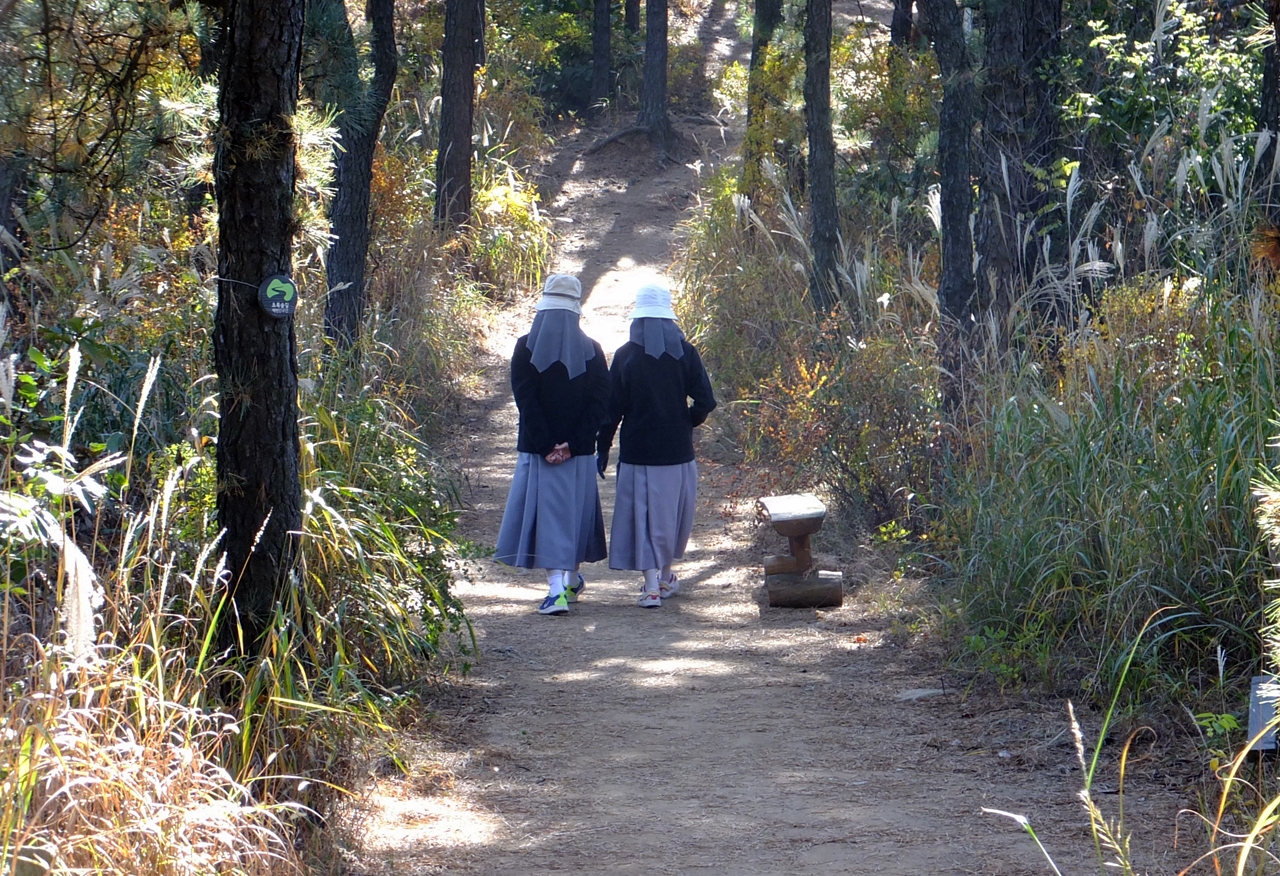 운동화를 신고 경쾌하게 숲속 길을 걷는 수녀님. 