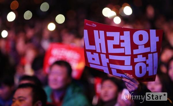 내려와 박근혜! 12일 오후 서울 광화문광장에서 열린 민중총궐기 대회에서 시민들이 '박근혜 하야'를 촉구하고 있다.