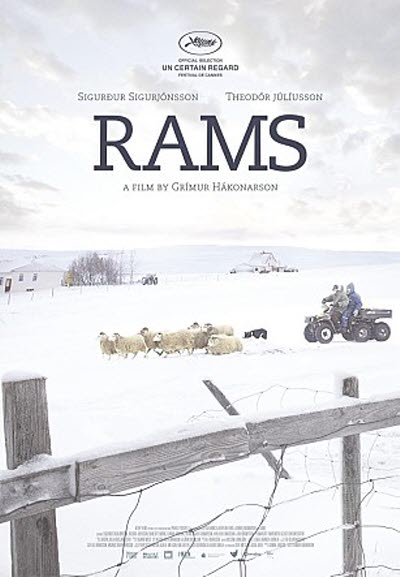  영화 <램스>의 포스터. 'Lambs'가 아니라 'Rams'이다.