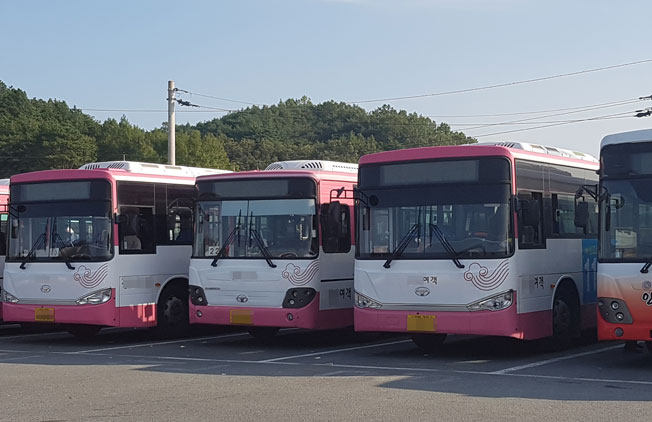 주차된 안동시내버스 안동시외버스터미널에 주차된 경북 신도청과 왕래하는 안동시내버스.