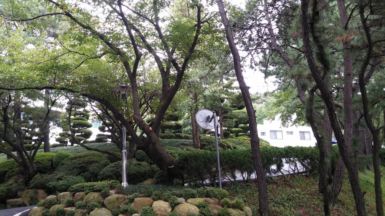  울산 북구 염포동 심청골 산자락에 위치한 현대자동차 간부숙소 중 유일하게 남은 2동. 아파트가 들어설 수 없는 이 주변에 공동주택이 들어서는 문제로 논란이 일고 있다. 울산에서 더 이상 특혜 용도변경은 안된다는 여론이 거세게 일고 있다 