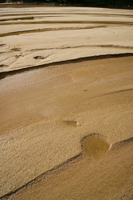 내성천의 모래는 수질을 정화시키는 중요한 도구다. 모래의 강 내성천이 1급수를 유지하는 이유다. 따라서 물과 모래가 흐르지 않는 내성천은 녹조라떼를 만들 뿐이다. 내성천은 흘러야 한다. 