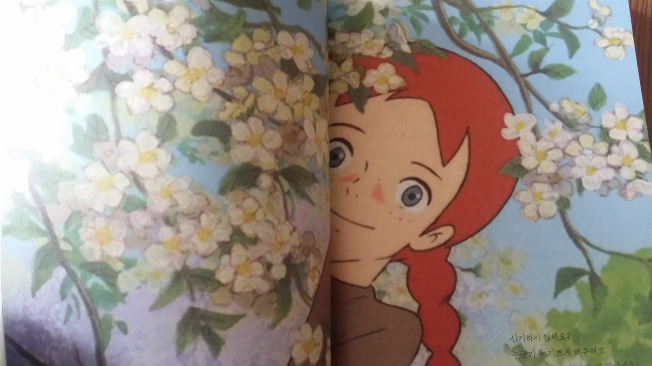 책속의삽화-예쁘지는 않지만 사랑스러운 빨강머리 앤 