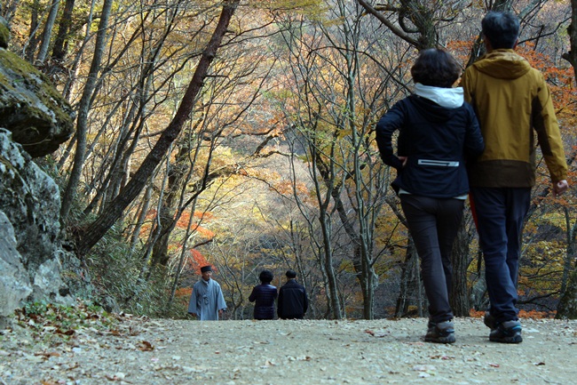 선암사, 이 길에 서면 원근법이 제대로 나옵니다.