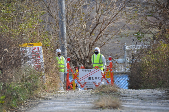  충남 아산시 행목리 산란계 농장에서 고병원성 조류인를루엔자(AI) 확진판정으로 현재 5만7000수에 대한 살처분 매립이 진행 중이다. 해당농장은 현재 출입이 통제되고 있다. 