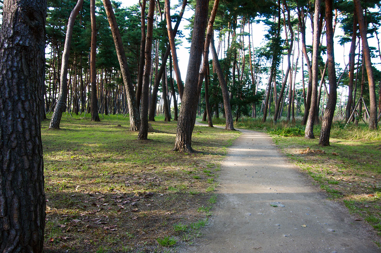 경포호 남쪽의 초당마을에 있는 허균·허난설헌 기념공원은 울창한 소나무 숲을 배경으로 하고 있다.