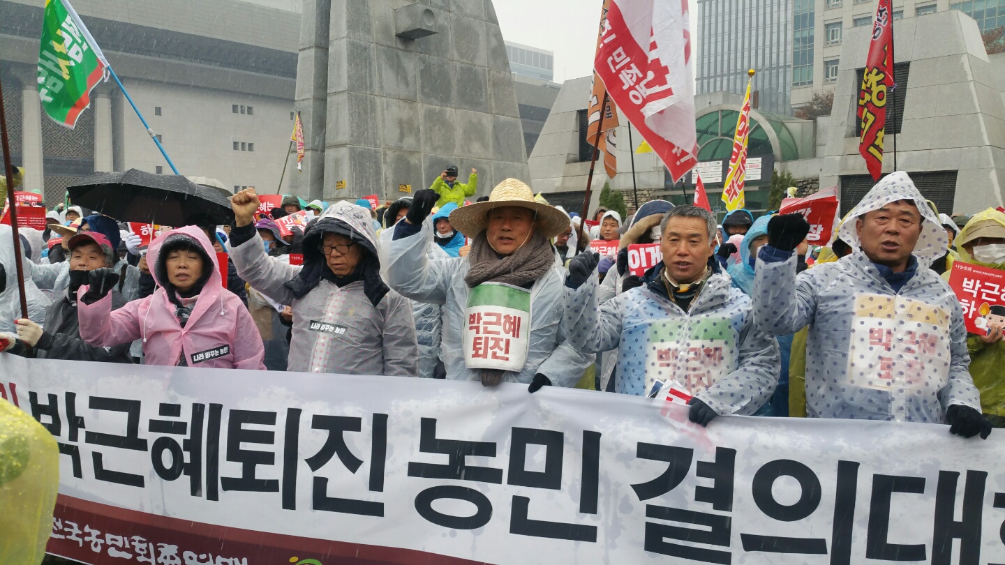 26일 오후 2시 세종로 공원에서 열린 '농민대회 봉쇄 폭력경찰 규탄 및 박근혜 퇴진 농민결의대회'. 전국 각지에서 올라온 농민 1천여 명이 결의대회에 참여해 1시간 동안 '박근혜 퇴진'과 '쌀값인상'을 외쳤다.