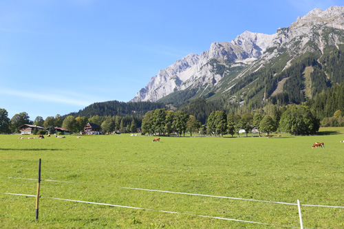 오스트리아 람자우 지역의 시몬 바우어 농장의 모습.