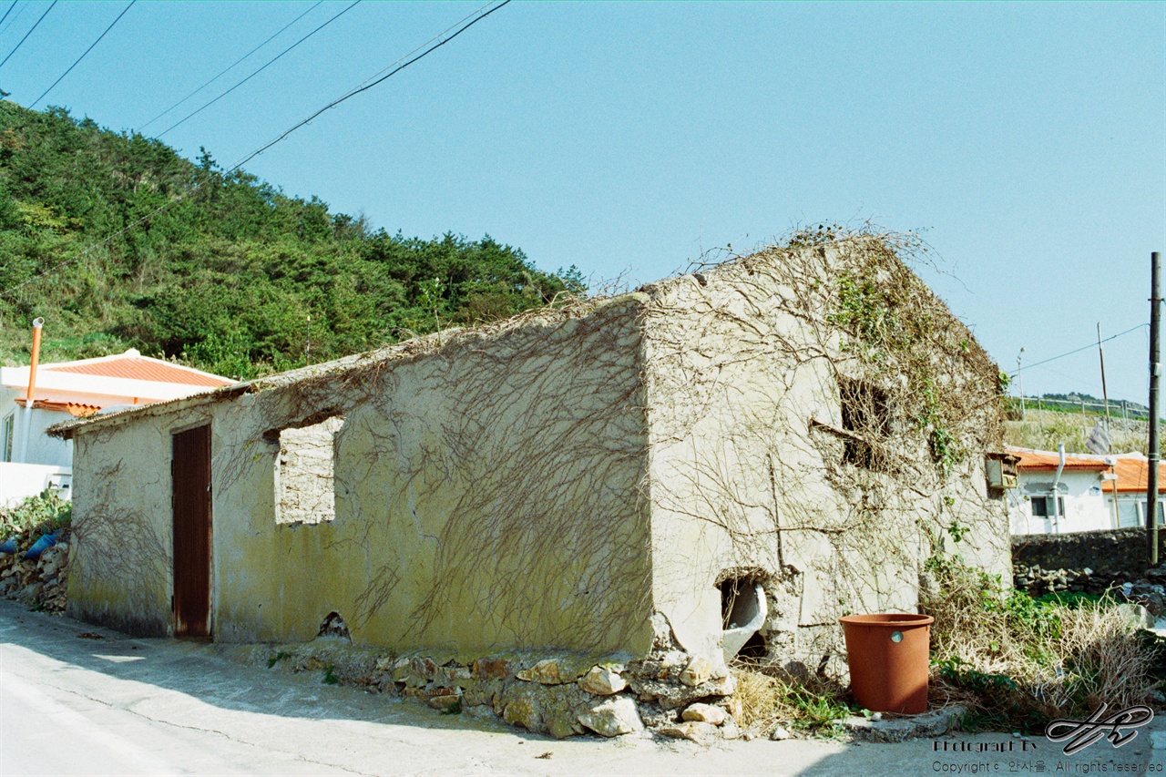 묵리 35mm네거티브필름(프로이미지). 묵리 입구에서 처음 만나는 풍경. 마을의 거의 모든 집이 이런 덩굴에 감싸여있다.