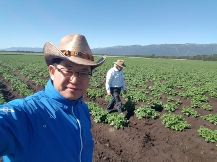 미국의 감자주산지 아이다호에서는 임영석 교수가 개발한 밸리감자들이 유기농으로 재배되고 있다.