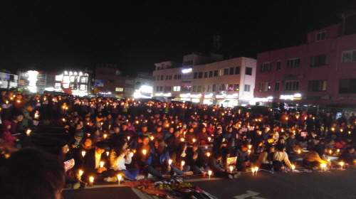 이날 집회는 고흥군 도양읍 체육회와 박근혜정권퇴진 고흥군운동본부가 함께 주최했다.